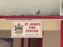 St. John’s Fire Station Relocates to Dredge Bay for New Headquarters
